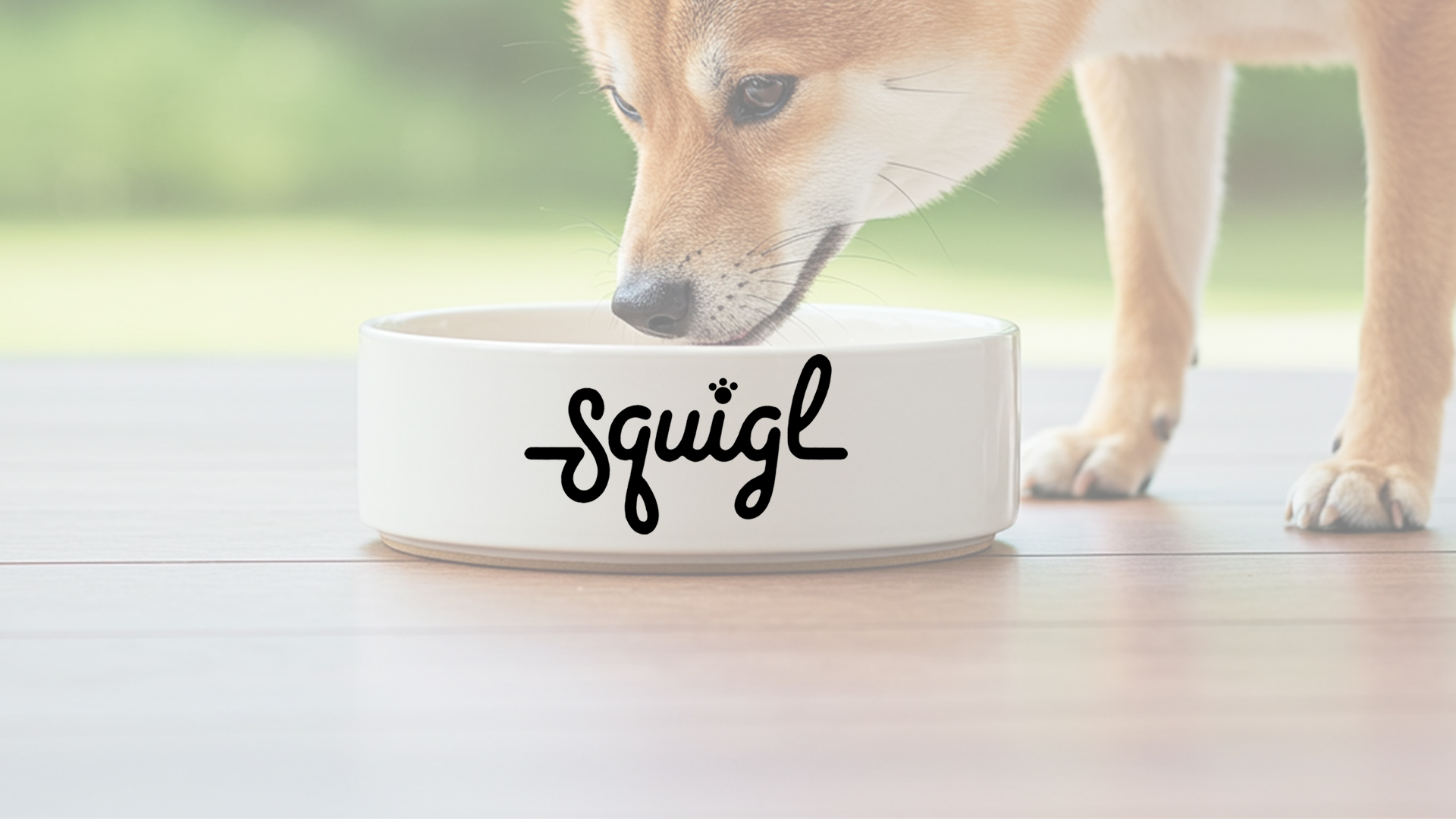 Squigl pet portrait brand